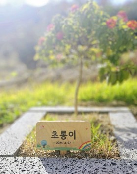 하늘별 수목장