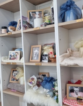 하늘별 봉안당(납골)